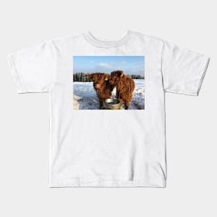 Scottish Highland Cattle Calves 1683 Kids T-Shirt